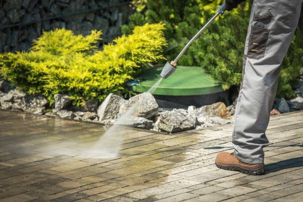 Best Pre-Holiday Cleaning  in Falls City, NE